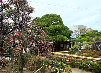 客殿・玄関・庫裡