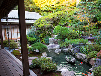 客殿廊下よりみた裏庭